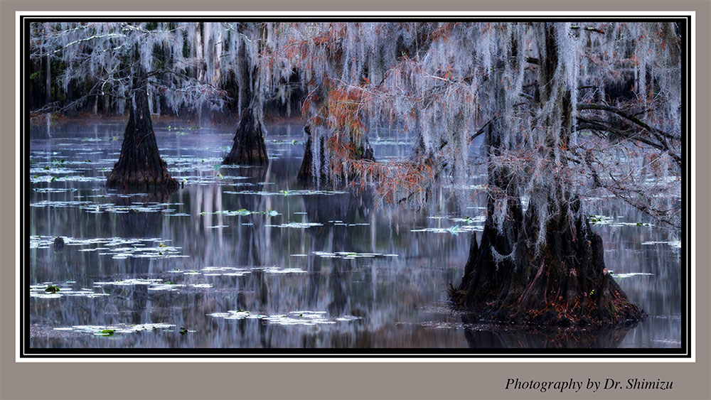 20th only SmileMakeoverPP Wide update16 slide 1